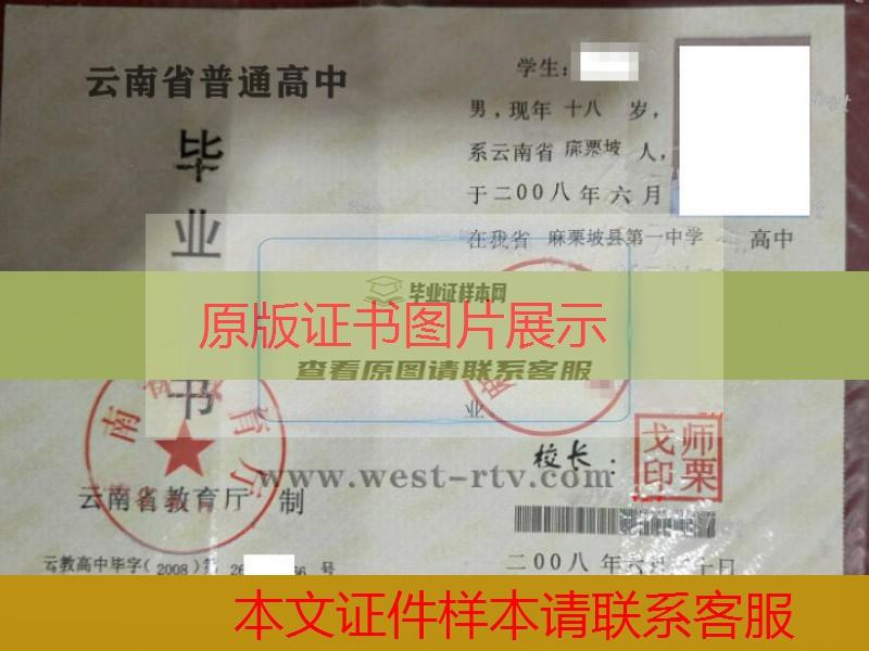 云南省麻栗坡县第一中学2008年高中毕业证样本图