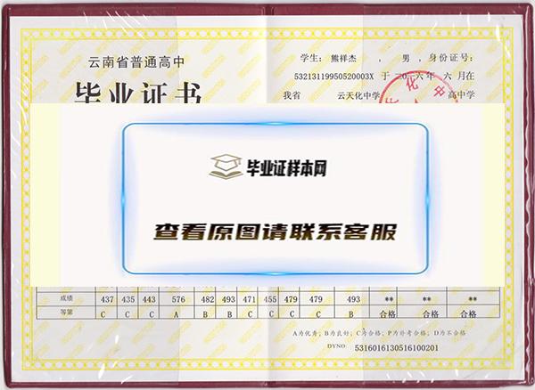 云南省高中毕业证编号在哪个位置（云南高中毕业证明书样本）插图2