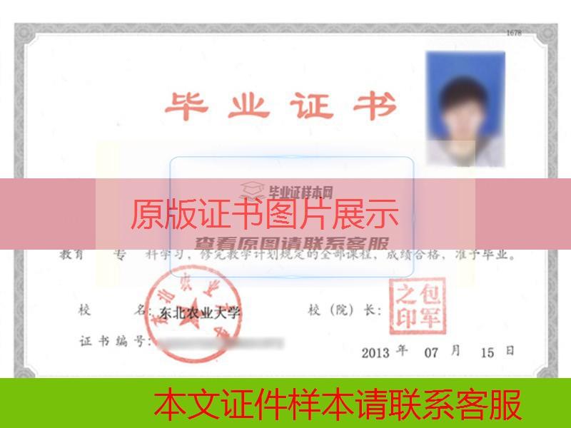 东北农业大学2013年网教大专毕业证样本图