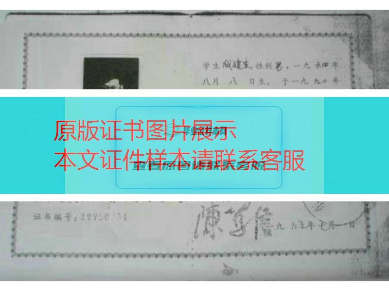 东南大学1995年毕业证样本