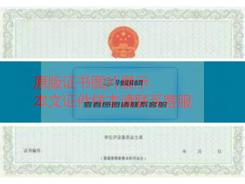 重庆大学学位证样本
