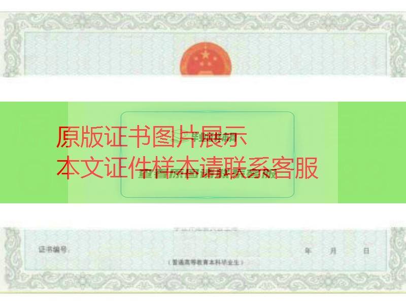 上海理工大学学士学位证书样本