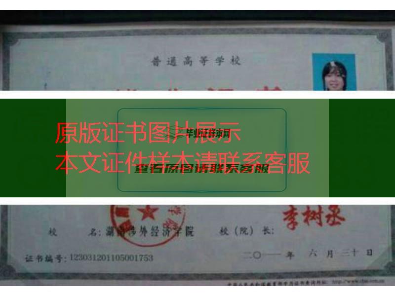 湖南涉外经济学院2011年毕业证样本