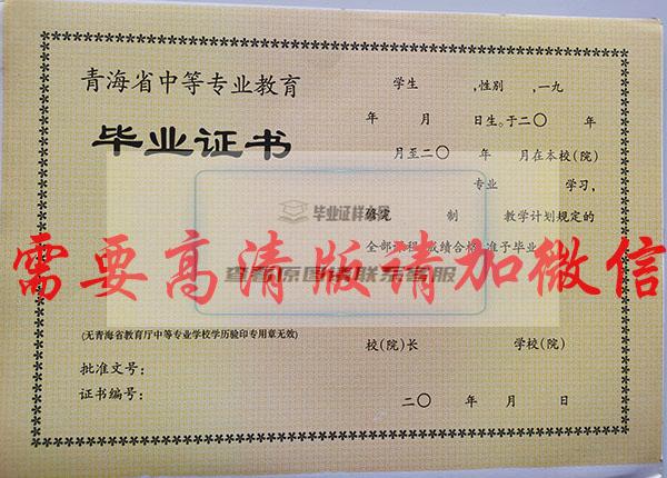 青海省2004年中专毕业证内芯