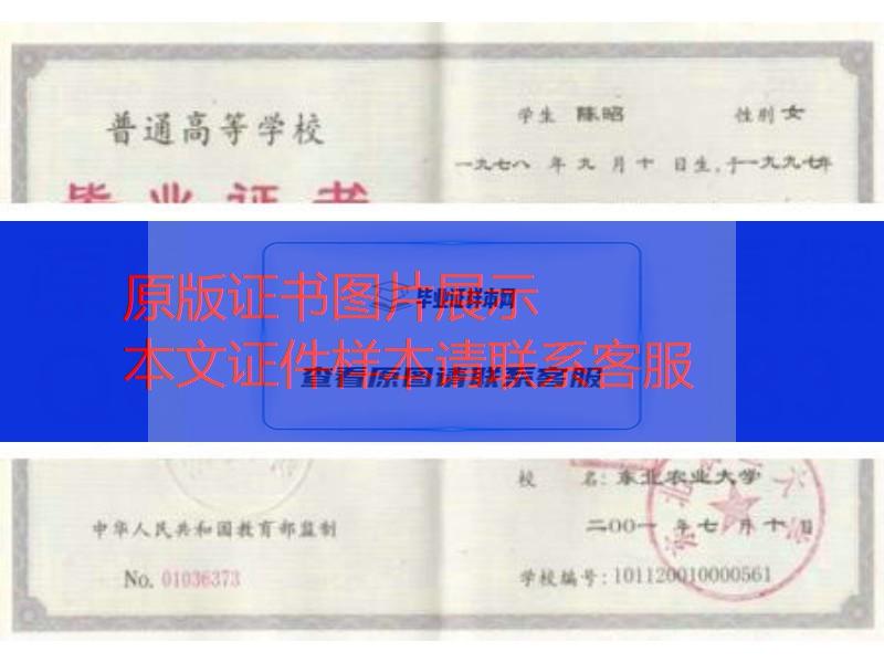 东北农业大学2001年毕业证样本