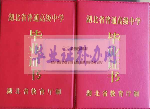 1996年湖北省中专毕业证样本图片模板