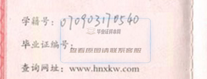 湖南省高中毕业证编号样式