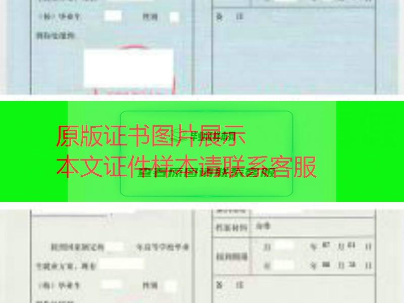 報到證樣本 報到證樣本