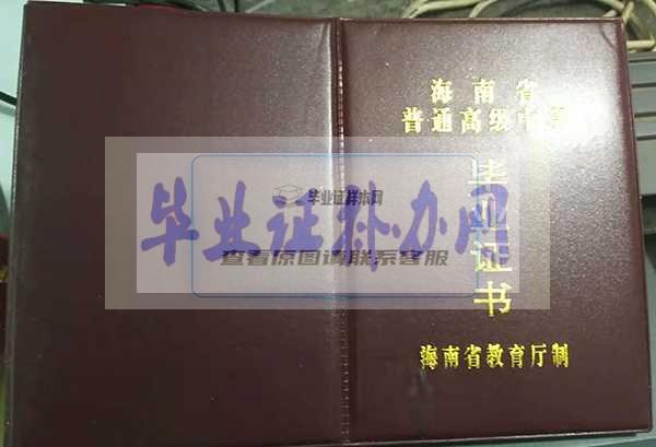 1995年海南省高中毕业证样本图片模板