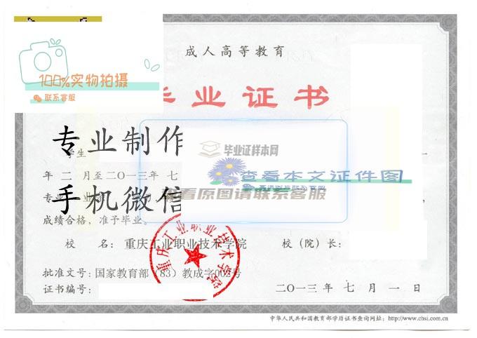重庆工业职业技术学院2013成人 拷贝.jpg