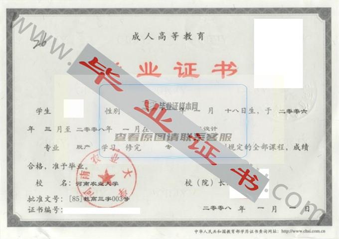 河南农业大学2008年毕业证样本（电脑艺术设计）第3张