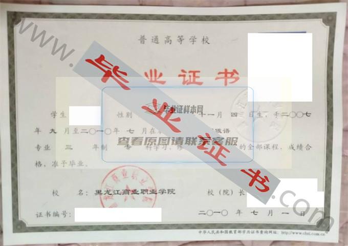黑龙江商业职业学院2010年毕业证样本（应用俄语）第1张