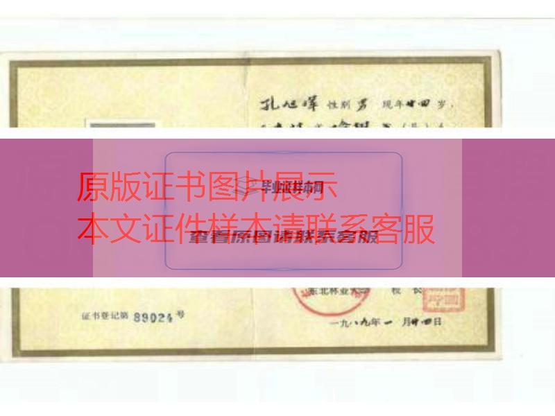 东北林业大学1989年毕业证