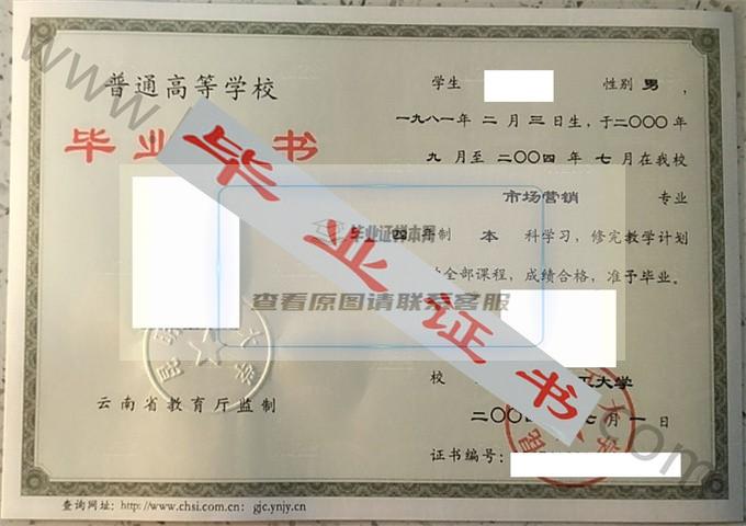 昆明理工大学2004年毕业证样本（市场营销）第4张