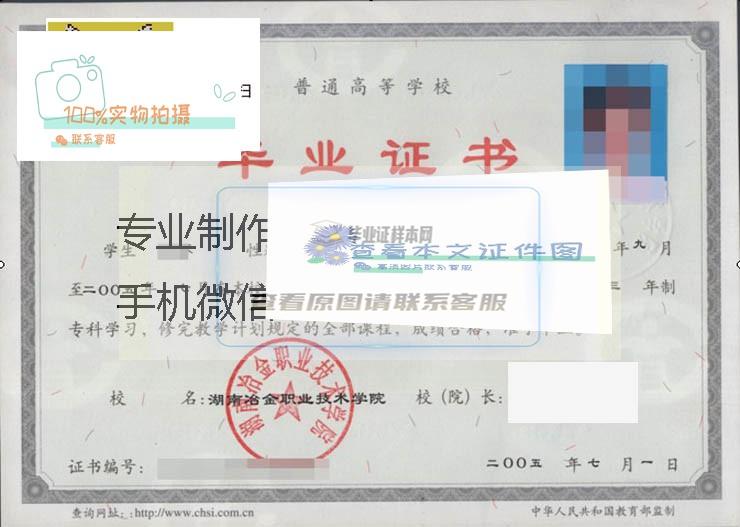 湖南冶金职业技术学院2005 拷贝.jpg