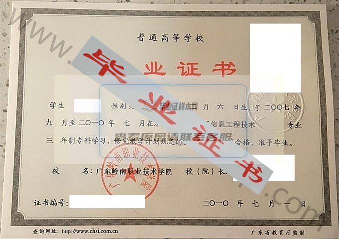 广东岭南职业技术学院2010年毕业证样本（电子信息工程技术）第3张