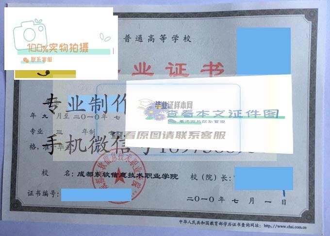 成都东软信息技术职业学院2010 拷贝.jpg