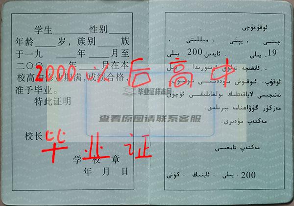 新疆2002年高中毕业证样本