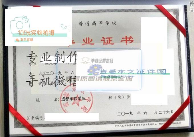 成都东软学院2019 拷贝.jpg