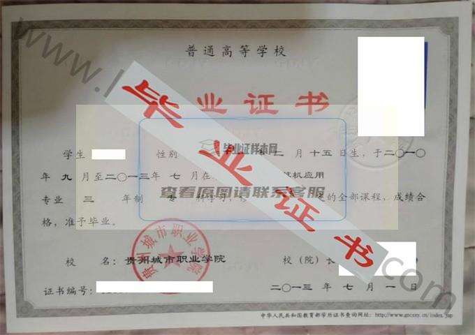 贵州城市职业学院2013年毕业证样本（计算机应用）第1张