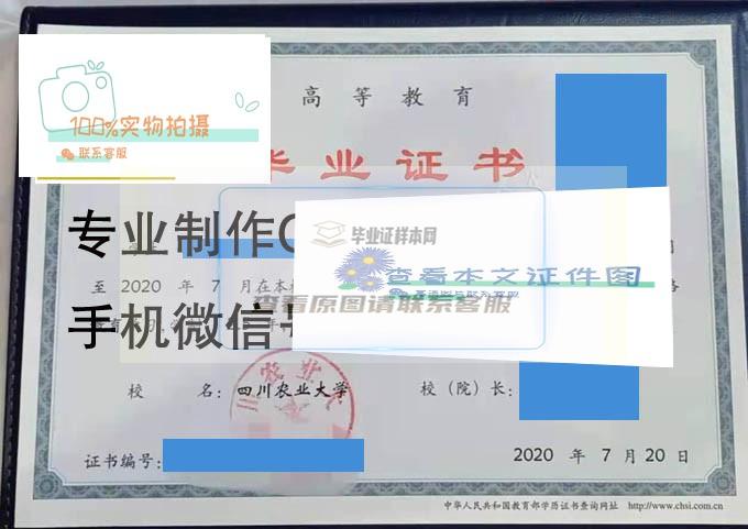四川农业大学2020成人 拷贝.jpg