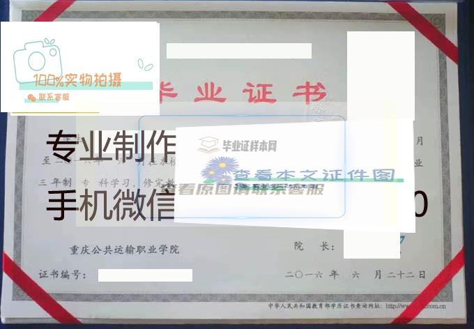 重庆公共运输职业学院 拷贝.jpg