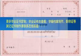 武警上海指挥学院毕业证模板上海市毕业证样本