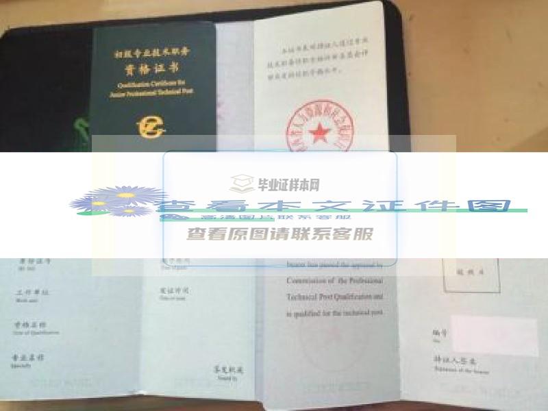 陕西省新版初级资格证书职称证书样本