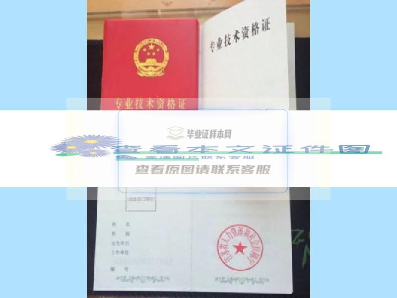 江苏省资新版1格证书职称证书样本