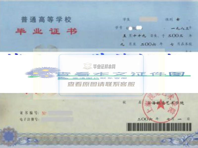 上海视觉艺术学院毕业证样本