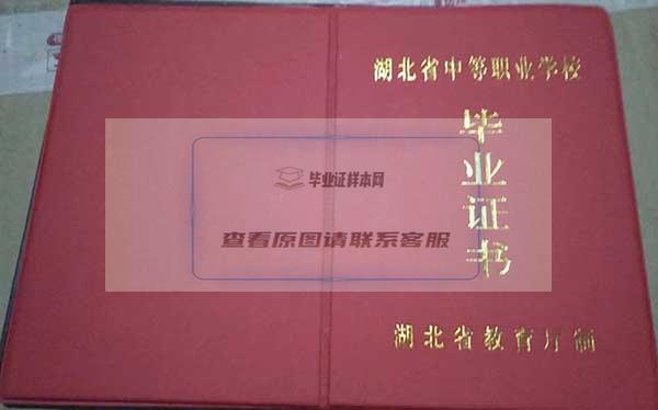 中专毕业证电子版在哪里查询？有哪些查询方法