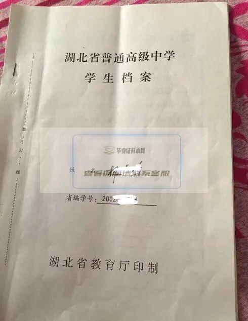 湖北省普通高级中学学生档案