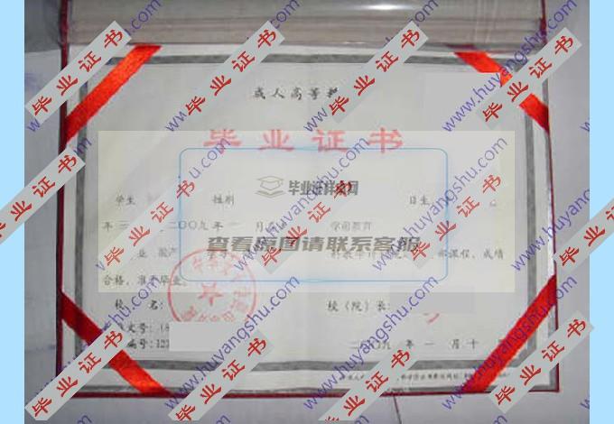 中华女子学院山东分院的毕业证样本图片在哪里可以找到？