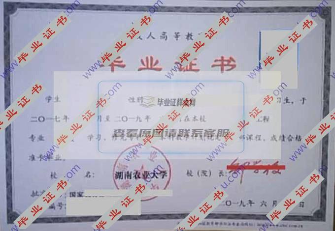 湖南农业大学历届毕业证学位证样本在哪里可以查到？