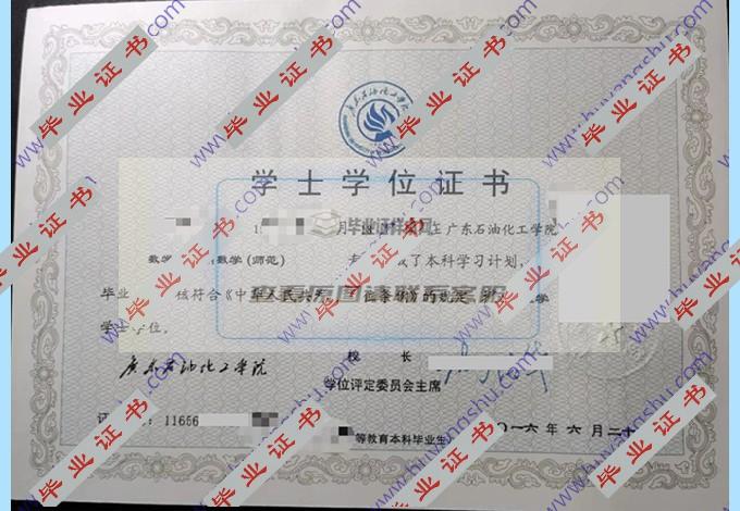 广东石油化工学院历届毕业证学位证样本图片在哪里可以找到？
