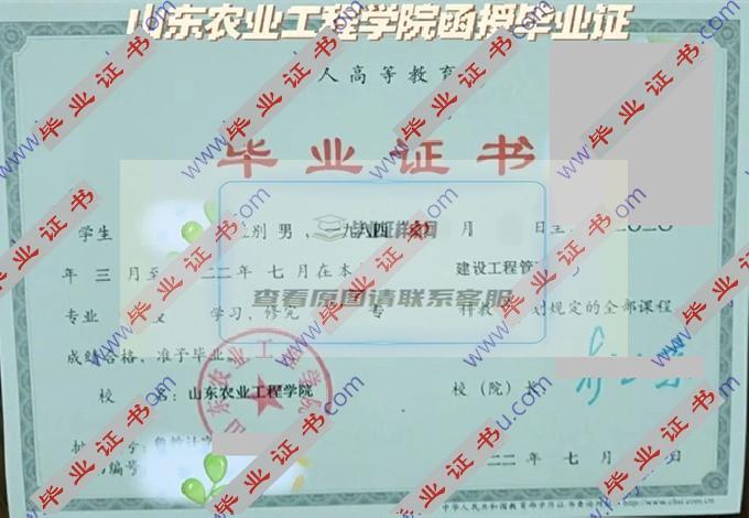 山东农业工程学院的历届毕业证样本图片在哪里可以找到？