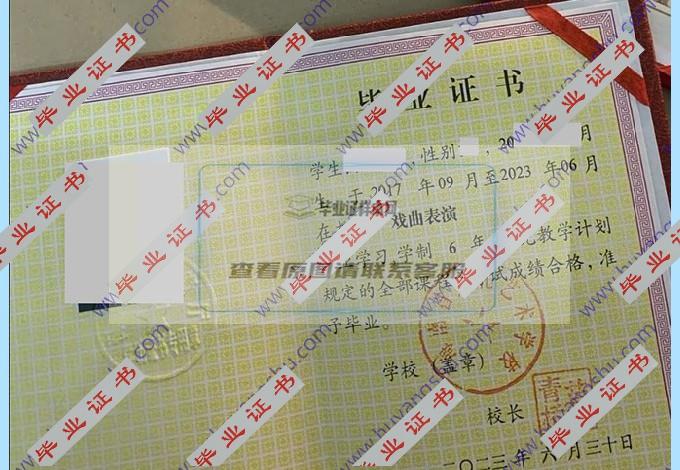 海南省文化艺术学校中专毕业证样本图片在哪里可以找到？