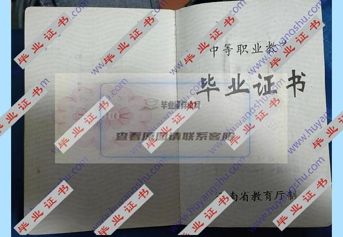 嵩明县职业高级中学2005年中专毕业证样本在哪里可以找到？