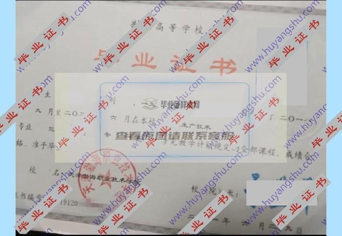 天津渤海职业技术学院的毕业证样本图片在哪里可以找到？