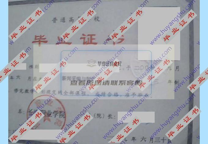 长江职业学院历届毕业证样本图片在哪里可以找到？