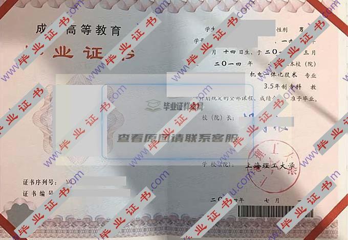 上海理工大学历届毕业证样本图片在哪里可以找到？