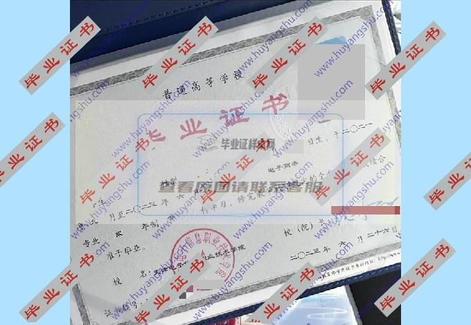 天津电子信息职业技术学院的毕业证样本模板图片在哪里可以找到？