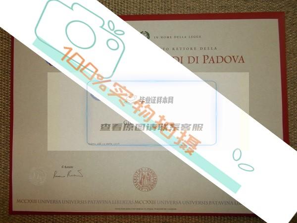 如何识别真假帕多瓦大学毕业证图片？插图