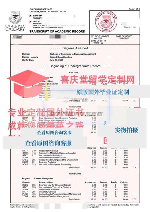 卡尔加里大学成绩单样本