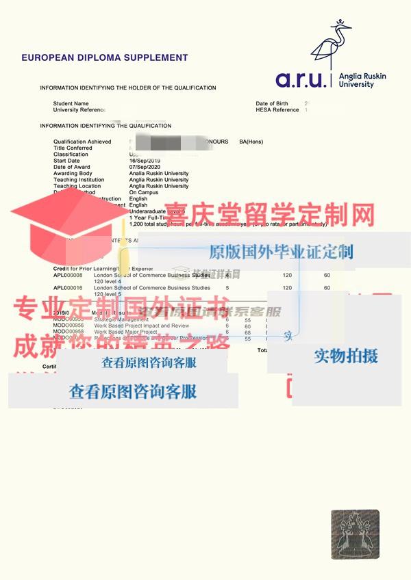 安格利亚鲁斯金大学成绩单样本