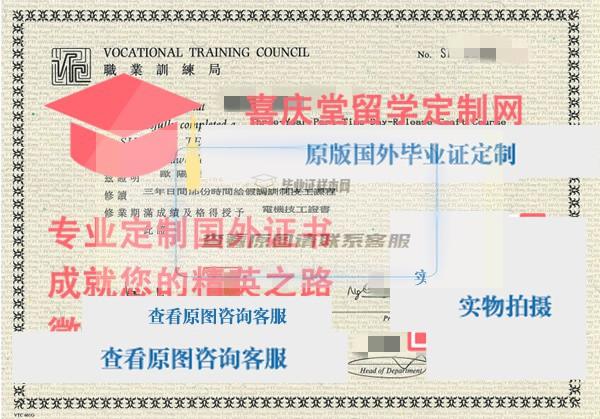 香港沙田工业学院电机技工证书样本 香港职业训练局插图
