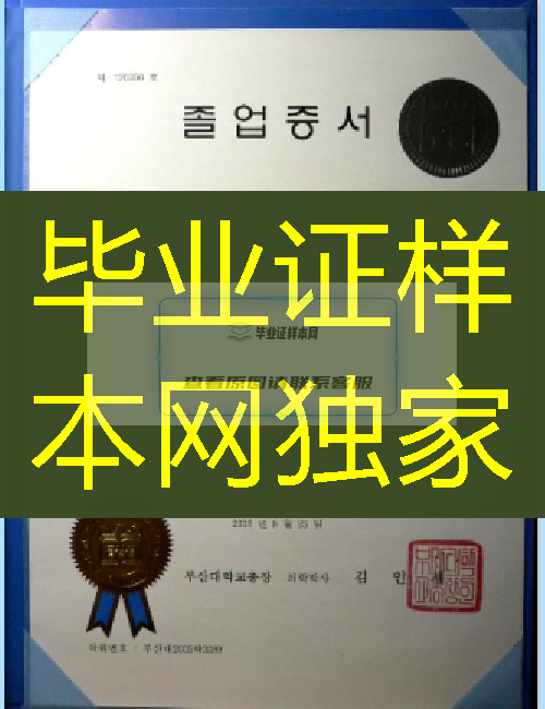 韩国朝鲜大学毕业证模板