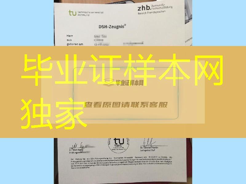 改革的大学：德国多特蒙德工业大学technische universitat dortmund成绩单