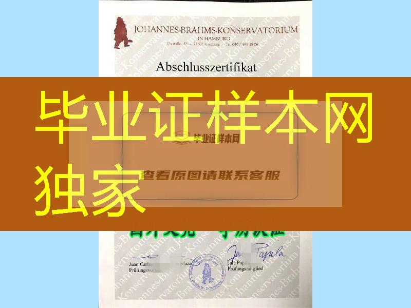 怎么获得德国汉堡勃拉姆斯音乐学院文凭学位证书？德国大学毕业证案例图片