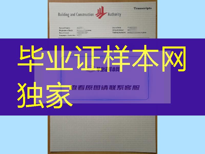 新加坡建筑管理学院毕业证书学历资料一套成绩单Building and Construction Authority diploma